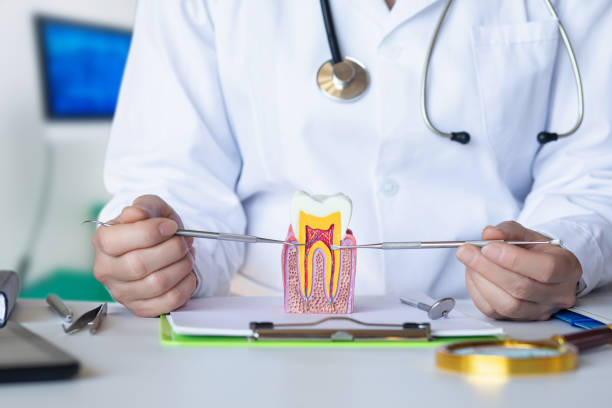 Best Cracked Tooth Emergency Dentist  in Waldwick, NJ